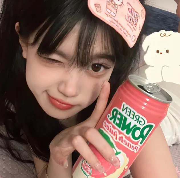 真情玫瑰